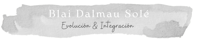 Blai Dalmau Solé
